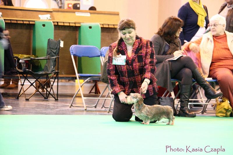 Crufts2011_2 419.jpg